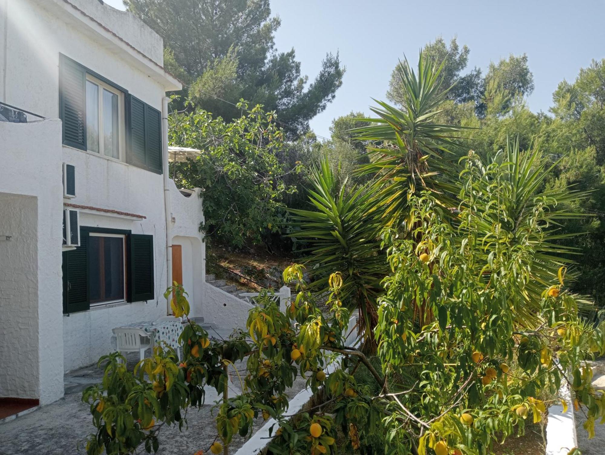 Residence Dolce Far Niente เวียสเต ภายนอก รูปภาพ