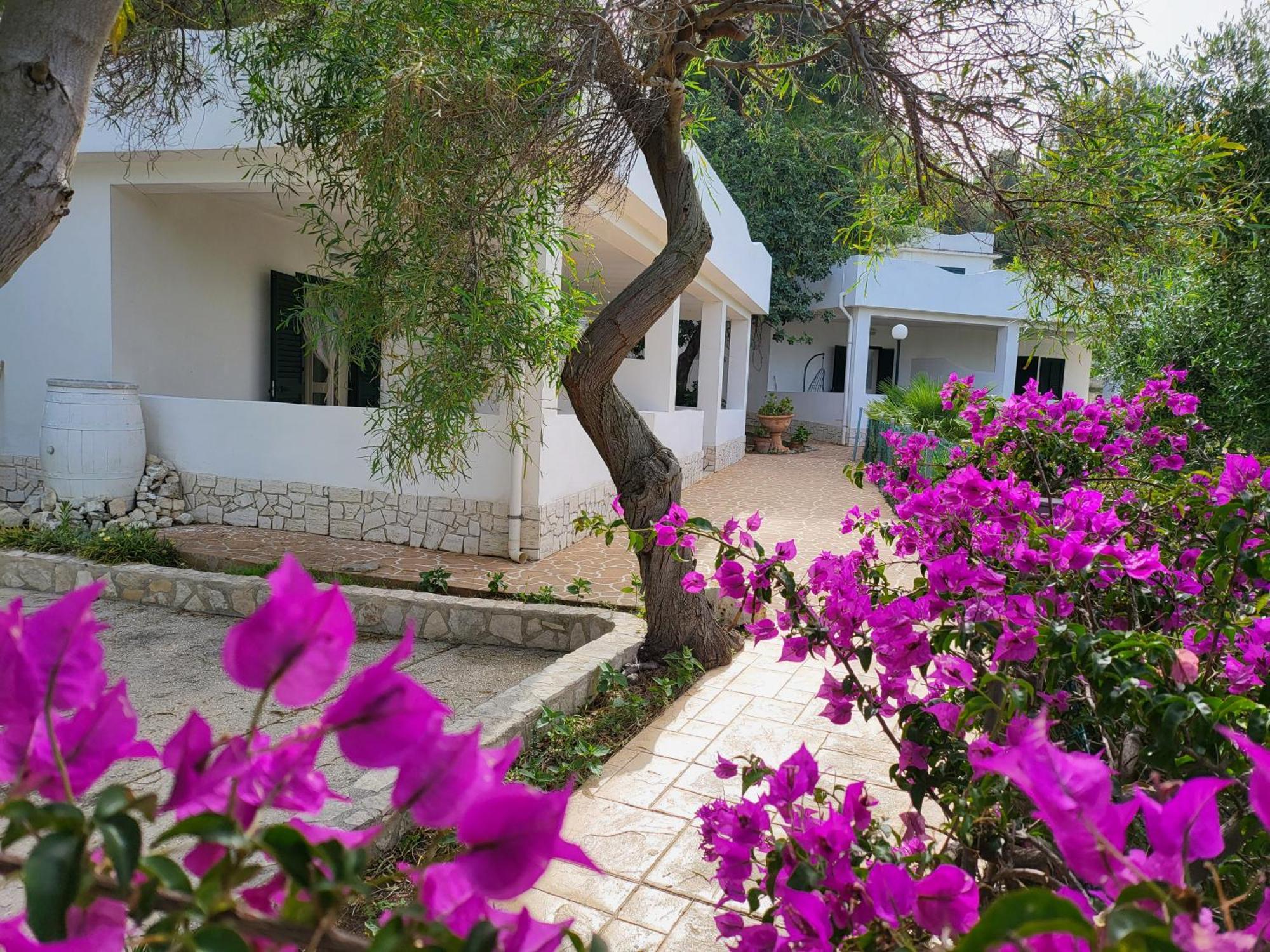 Residence Dolce Far Niente เวียสเต ภายนอก รูปภาพ